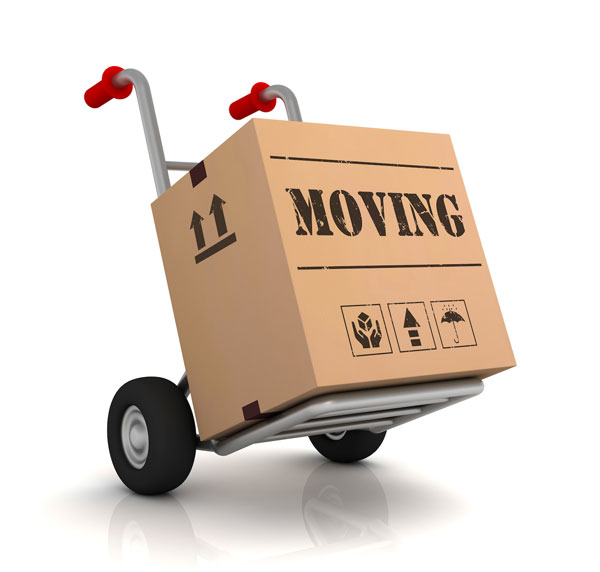 Moving Service