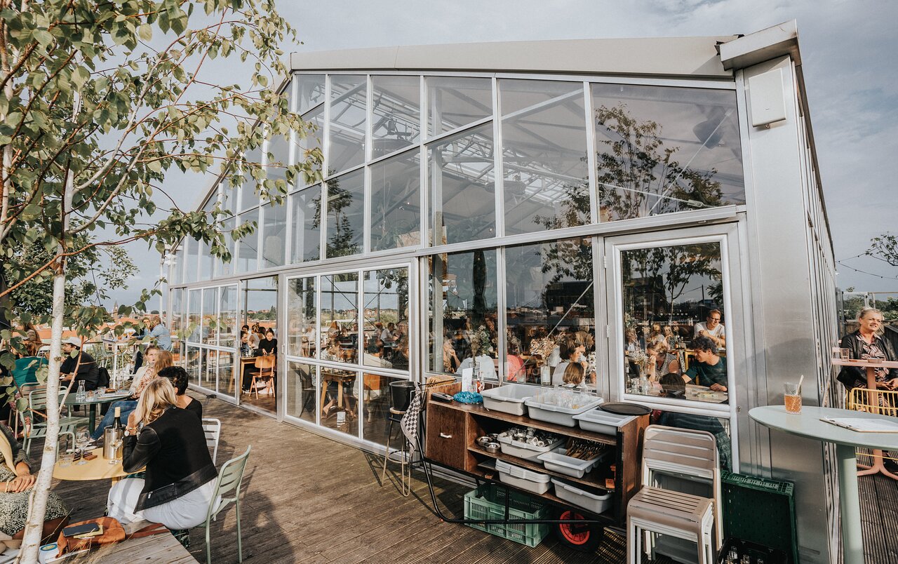 Modern Rooftop Dining